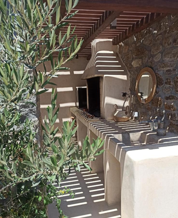 Aviola Mykonos Villa Ftelia  ภายนอก รูปภาพ